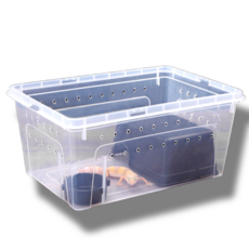 인생소품 가성비 도마뱀 사육장 반투명 적재형 케이지, 1개, 투명 (대)