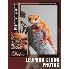 (영문도서) Leopard Gecko PhoTos Photo Book: Stunning Visuals Showcasing Unique Leopard Gec... Paperback, Independently Published, English, 9798301817120