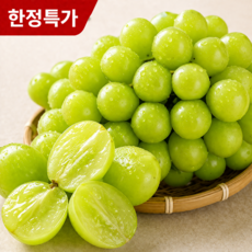 [재구매1위] 산지직송 초고당도 달콤 샤인머스켓, 1박스, 2kg