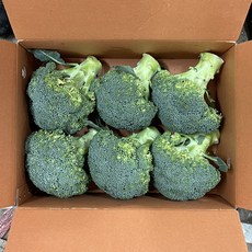 미소진 수입 브로콜리 브로컬리 가정용 식자재용, 1박스, 1kg