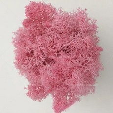 인공 녹색 식물 영원한 생명 DIY 잔디 홈 룸 미니 가짜 50g, 11)10g, Pink
