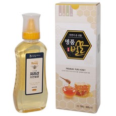 지구마을 자연에서 온 지리산 자연벌꿀, 500g, 1개