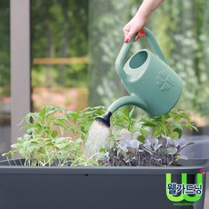 조이가든센터 Prosperplast 코니 물뿌리개 4.5L, 1개