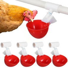 PercyEffie 대형 자동 닭 물컵 5팩 급수기 1.3cm(1/2인치) PVC 티 피팅 가금류 급수기 키트 DIY 병아리 오리 칠면조 메추라기용 (레드), PercyEffie 대형 자동 닭 물컵, 5팩 급수기,