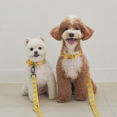 베일리펫 핸즈프리 강아지 리드줄 2.5M 길이조절 산책줄, 1개, 옐로우