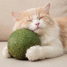 로켓팝 대왕 캣닢볼 고양이 장난감, 1개, 그린