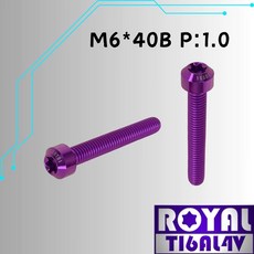 ROYAL 鈦合金錐形螺絲 M6*40B P:1.0 皇家紫, 1個