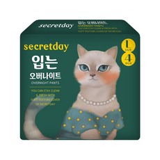 시크릿데이 입는 오버나이트 팬티형, 대형, 4개입, 1개