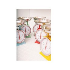 일본 덜튼 주방저울 0.5kg ( 인기절정 상품 ), 빨강, 1