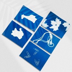 감광지로 청사진만들기(5인세트) 시아노타입 키트, 1세트