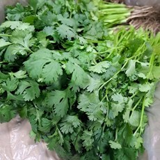 국내산 고수 신선 향긋한 허브 채소 가정용 식자재용, 1박스, 1kg