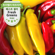 [산지직송] 김제 트리벨리 파프리카 달콤 아삭 파프리카, 1박스, 1.5kg