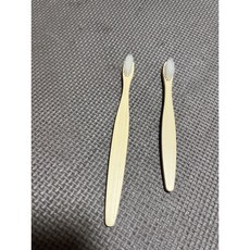 全口28顆牙齒 牙齒模型教具, 牙刷*2隨機, 1個