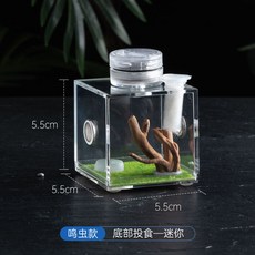 高透鳴蟲生態盒 蟈蟈/油葫蘆/竹蛉專用 透氣防逃觀察盒 蛐蛐扎嘴跳蛛飼養箱 螳螂昆蟲盒 科學觀察寵物盒, 1個, 【投食孔在底部】5.4+0.1正方形cm