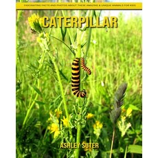 Caterpillar: Fascinating Facts and Photos about These Amazing & Unique Animals for Kids Paperback, Independently Published