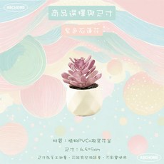 仿真植物 多肉盆栽 桌面擺飾, 1個, 紫色石蓮花