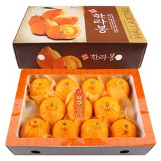 배송 한라봉 3kg 중 (11~13과)/제주도직배송, 일반포장, 1개