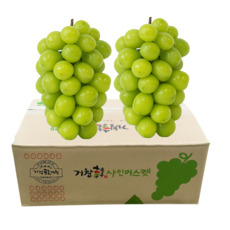 [재구매율1위] 유명산지 수출용 당도선별 샤인머스캣, 1박스, 2kg(2~4수)