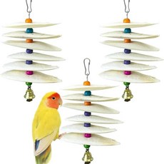 새 씹는 오징어뼈 앵무새 벨 부리 연마석 케이지 소형용, 1개, 기본