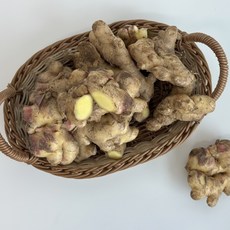 국내산 햇 흙생강 신선한 알뜰 생강 대용량 영주 봉화 특품, 1개, 500g 흙생강 특품