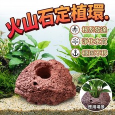 火山石定植環 水草固定底座 沉底造景培菌, 1個