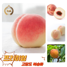 [굿피플] 고당도 천상의맛 햇복숭아 복숭아 하우스복숭아, 1박스, 털복숭아 4kg 17-18과 (딱딱이,황도,백도 랜덤)