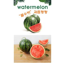 당도보장큰수박2통(14kg이내), 1세트, 12kg
