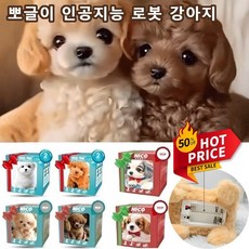 1/1+1 로봇 강아지 뽀글이 장난감 로봇 강아지 독일 로봇강아지 인공지능 로봇 강아지, 1-흰색, 컬러 박스
