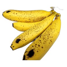 바나나 유기농 국내산 산지직송 영양성분 상품 정성 선물용 1.5kg 1개, 2.5kg