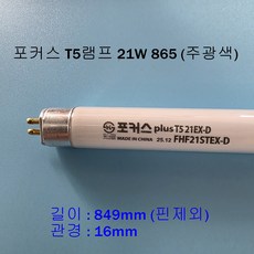포커스 T5 21W 주광색(865) 슬림형광등 849mm [오스람 필립스 동일사양], 9개, 주광색