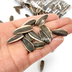 [제이펫] 세척 볶음 대형 해바라기씨, 50g, 1개