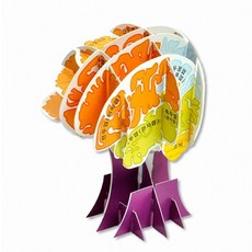 심리학습관 뇌 입체 구조 모형 만들기 5인 세트 인체 해부학 학습 교구 방과후 과학 조립 키트 도구, 1개