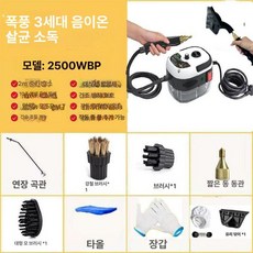스팀해빙기 스팀기 초강력 후드 수도 동파 청소 녹이기 고압, 2500W 스팀 음이온 살균+유리, 1개