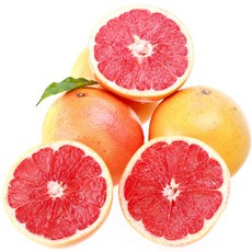 팜플러스 레드자몽 10과, 1개, 240g, 240g