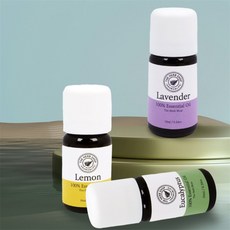 행스토어 더허브샵 에센셜오일 10ml 은은한집향기, 유칼립투스