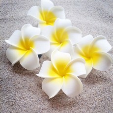 (10개)하와이 꽃 플라워토퍼 케이크 꽃토퍼 플루메리아 조화, 하와이꽃(5cm)