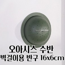 반구형 플라스틱 꽃꽂이 수반 벽걸이겸용 16x6cm 포장박스 꽃공예 꽃다발
