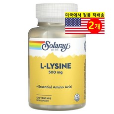 쏠라레이 L-라이신 500mg 베지캡슐 120정, 1캡슐, 2개