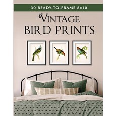 30 Ready-to-Frame 8x10 Vintage Bird Prints Paperback, Independently Published, English, 9798581060957