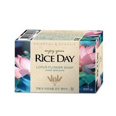 라이스데이 비누 청, 100g, 10개