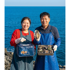 완도 전복 직거래 산소포장 활전복 국내산 참전복 횟감용 왕특대 중대 전복버터구이 전복찜 전복죽용, 1개, 1kg, 가정용, [1키로당 15~18미 / 중사이즈 전복]