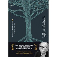 생각의 도약 평범함을 뛰어넘는 초효율 사고법