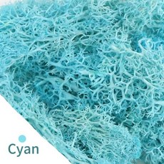 20/40/60g 영원한 생명 이끼 인공 녹색 식물 DIY 공예 잔디 미니 풍경 홈 거실 정원 장식 가짜, 4)20gram, Cyan