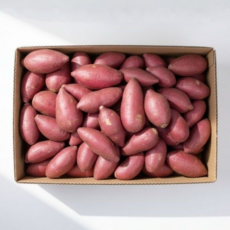 프리미엄 세척 꿀고구마 해남, 1박스, 한입 3kg