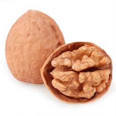 帶殼核桃 倉鼠磨牙零食 小寵零食 黃金鼠 烤核桃 鸚鵡 磨牙零食點心 倉鼠零食, 1個, 一粒