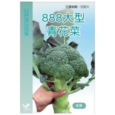 興農種苗 888大型青花菜種子，花蕾細緻，花球碩大，秋季播種，家庭園藝首選, 1個