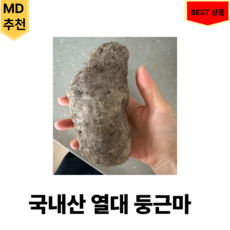 국내산 6시내고향 출연 열대둥근마 상등급 산지직송 사포닌 함량 원기회복 소화촉진, 1박스, 2kg