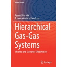 (영문도서) Hierarchical Gas-Gas Systems: Thermal and Economic Effectiveness Paperback, Springer, English, 9783030692070