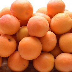 새콤달콤 국내산 살구 500g (대과/9-15과), 1개, 500