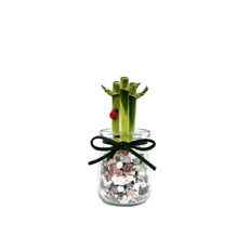 9+1 푸딩병 개운죽 수경재배 미세먼지 가습효과 집들이선물 식물키우기 학습재료, 오석, 1개